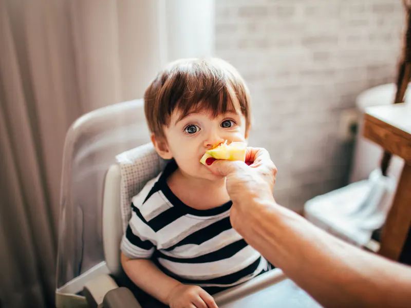 Imagem ilustrativa: criança na cadeirinha comendo um pedaço de fruta da mão de um adulto